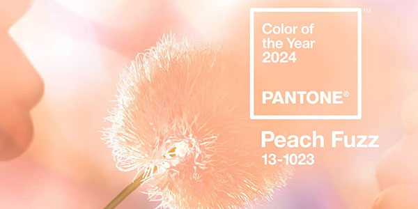 Колористические тенденции 2024 от Fama Tint