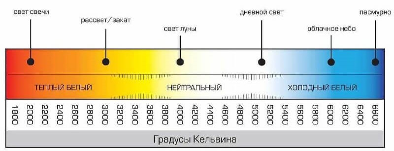 как влияет свет1.jpg